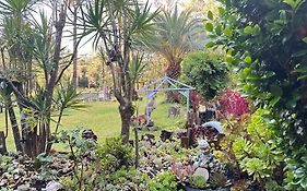 Macyland Jervis Bay Bush Retreat